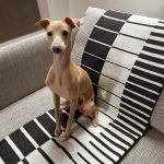 Narzuta op-art pianoforte 165x210 cm projektu maurycego gomulickiego dla hogai – nagrodzona must have na Łódź design festival.