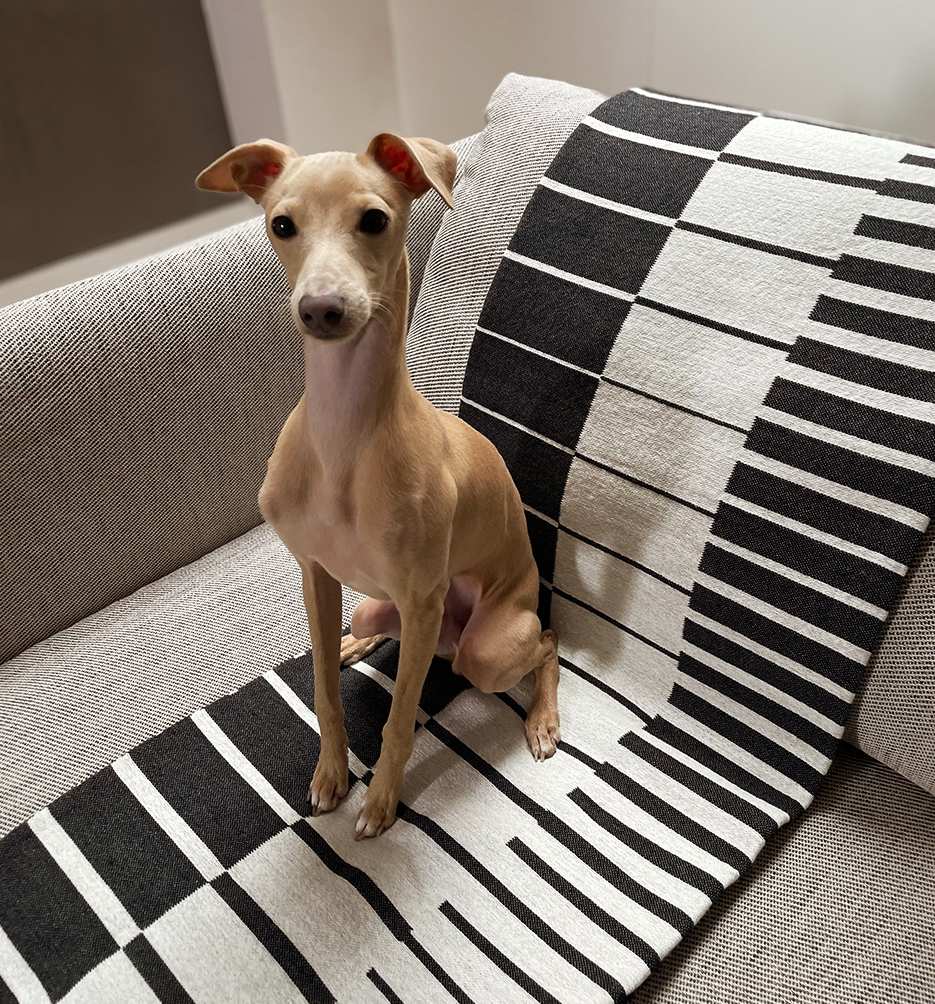 Narzuta op-art pianoforte 165x210 cm projektu maurycego gomulickiego dla hogai – nagrodzona must have na Łódź design festival.