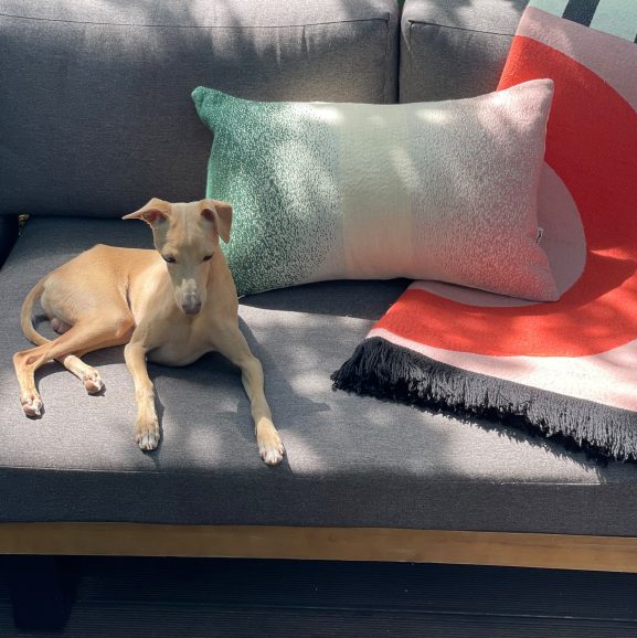 Gradient Cushion
