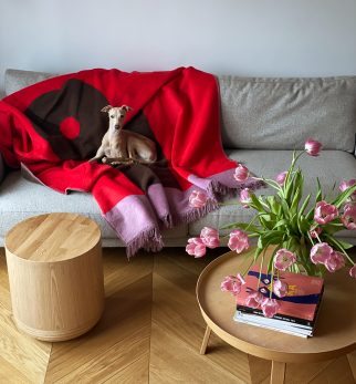 Koc bawełniany Exclamation Brown Point Hogai – dwustronny koc w kolorach czekoladowego brązu i ostrej czerwieni.
