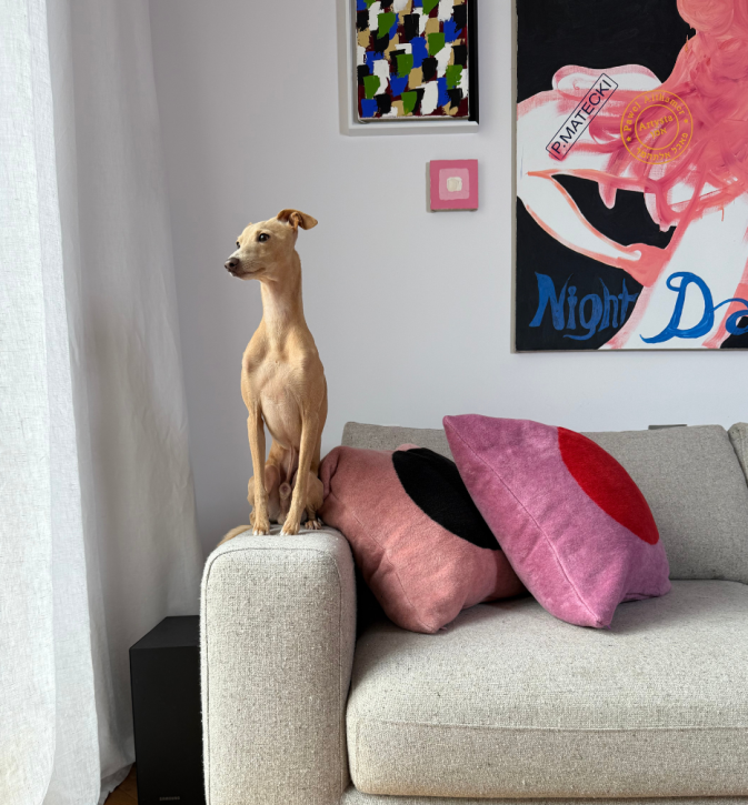Aranżacja poduszek Hogai Point: Rose 